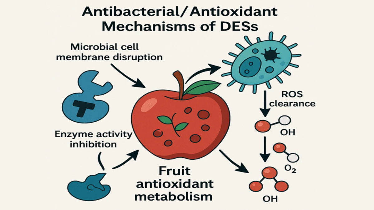 The paper "Deep Eutectic Solvents as Green Alternatives in Postharvest Fruit Preservation: a Comprehensive Review", by M. J. Gidado, Ahmad Anas Nagoor Gunny & Inas M. AlNashef, is a deep review about all the aspects related to DESs, and is fully available for free Review about Deep Eutectic Solvents, a Green Alternative in Postharvest.png